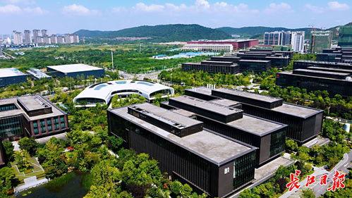 武漢力爭建成1 2家全球燈塔工廠,加快形成未來工廠梯隊