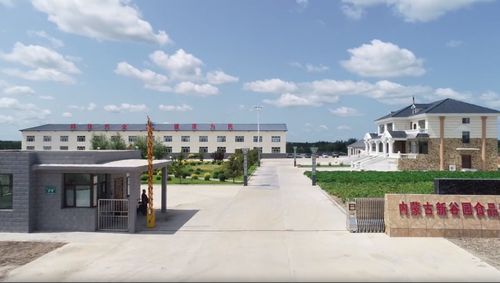 北京交通大學 智繪農品 實踐團探訪內蒙古新谷園食品公司,共謀鄉村振興新篇章