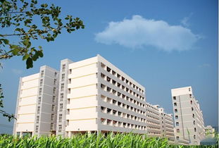 高校裝 共享空調 ,用一小時5元,網友 太黑了,一度電才6毛 宿舍