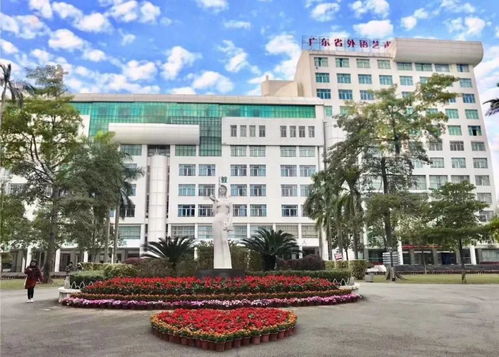 廣東外語藝術職業學院高職高考3 分數線 招生計劃 全景圖 2018 2020年