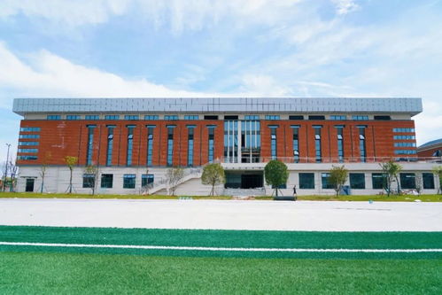 教育格局再優(yōu)化 多校整合與轉(zhuǎn)型助推區(qū)域教育發(fā)展