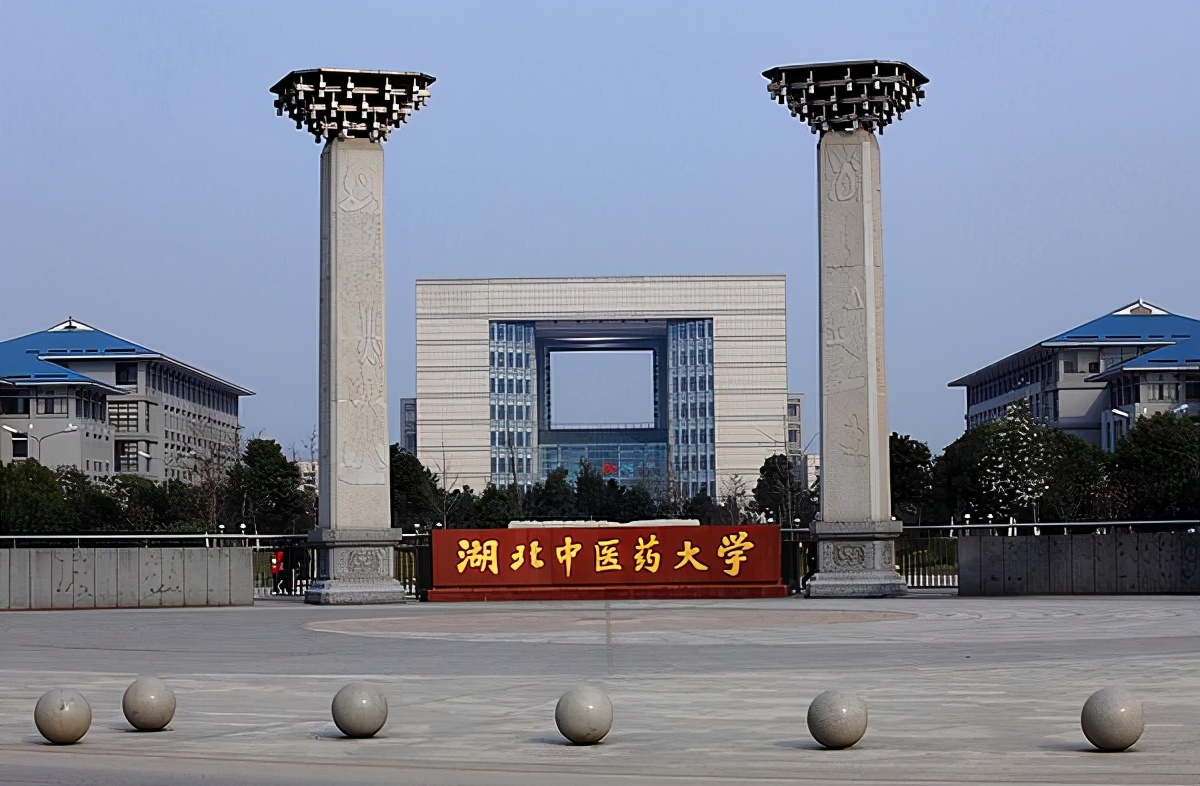 郁金香 武漢航海職業(yè)技術(shù)學(xué)院的自然饋贈(zèng)