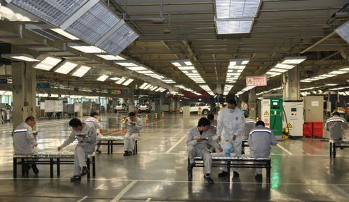 神龍汽車復(fù)工復(fù)產(chǎn)滿月，武漢航海學(xué)院見證工業(yè)重啟的力量